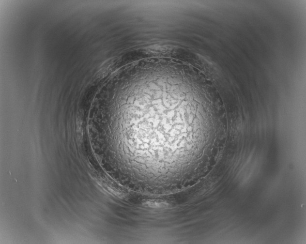 X0000078840749200611131148