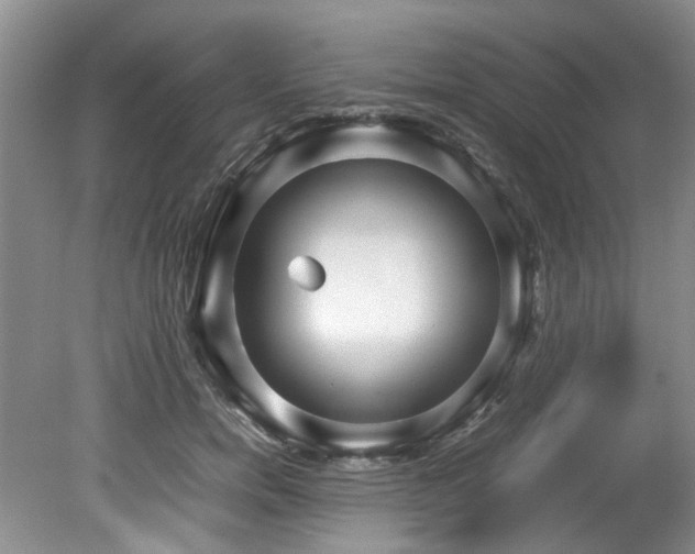 X0000078840750200611131148