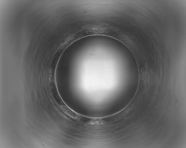 X0000078840752200611131148