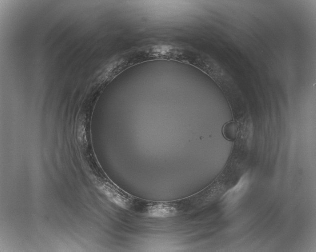 X0000078840754200611131148