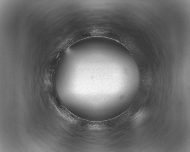 X0000078840755200611131148