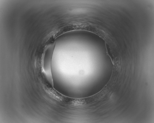 X0000078840756200611131148