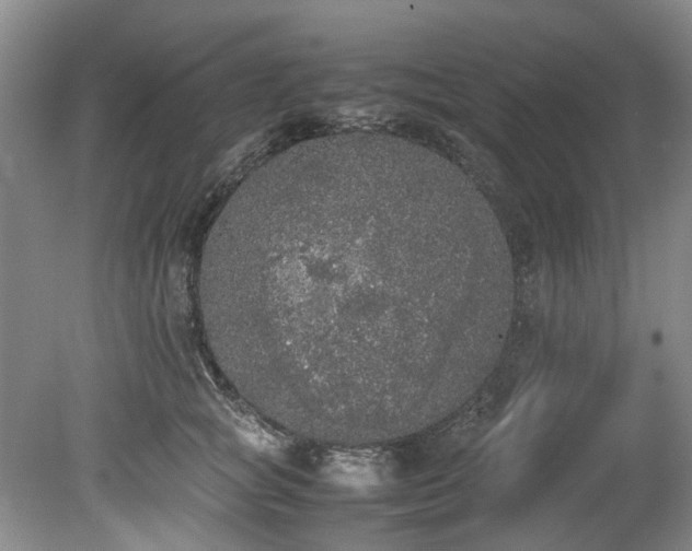 X0000078840757200611131148