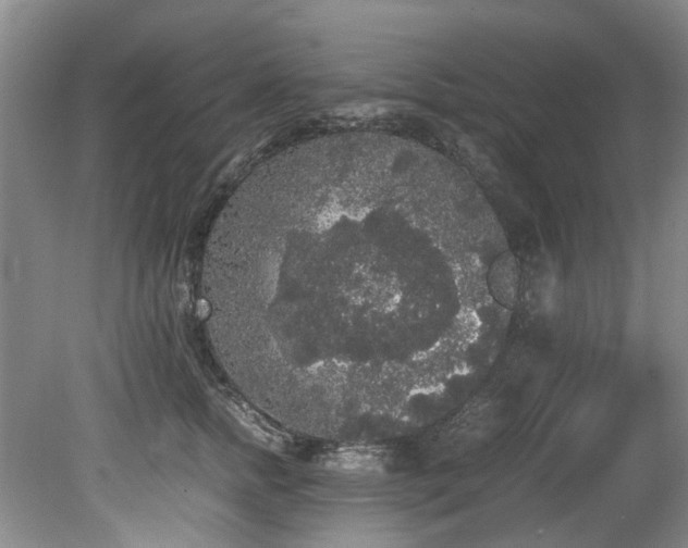 X0000078840758200611131148