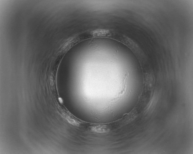 X0000078840761200611131148