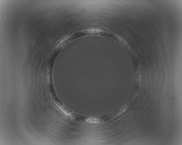 X0000078840762200611131148