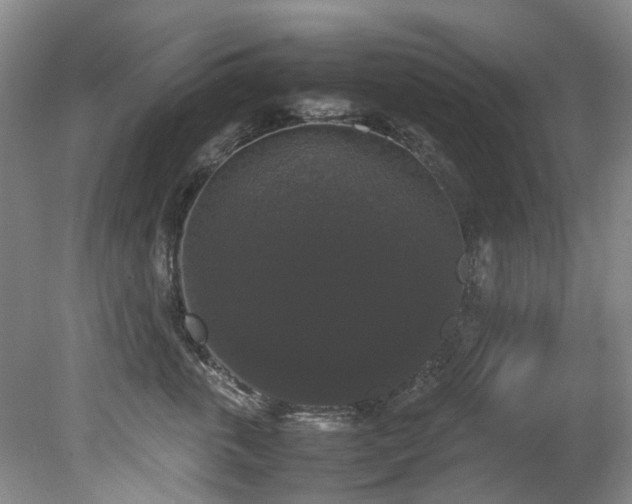 X0000078840763200611131148