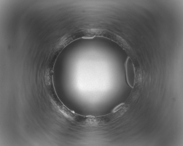 X0000078840764200611131148