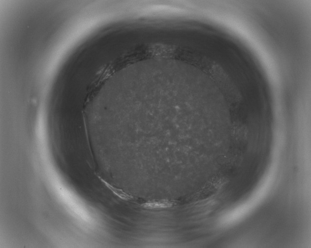 X0000078840765200611131148