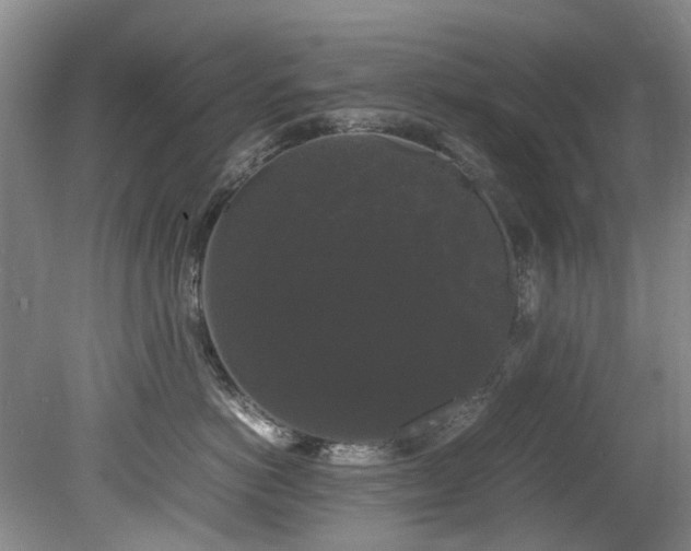 X0000078840766200611131148