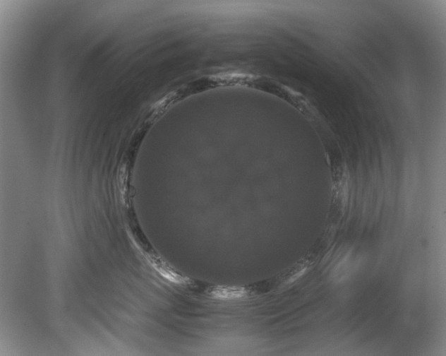 X0000078840767200611131148