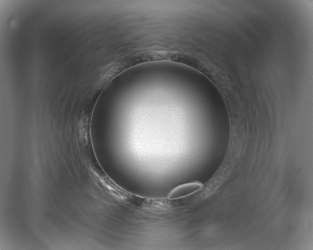 X0000078840768200611131148