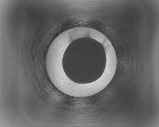 X0000078840769200611131148