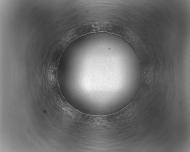 X0000078840770200611131148