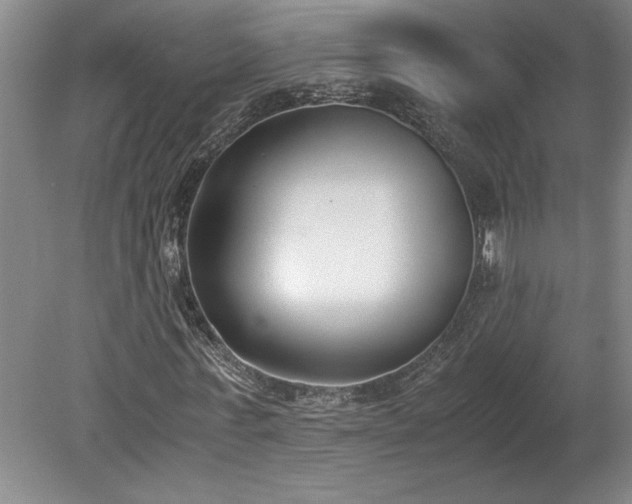 X0000078840771200611131148