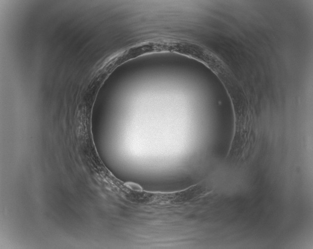 X0000078840773200611131148