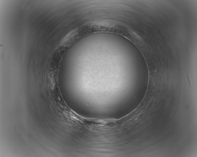 X0000078840774200611131148