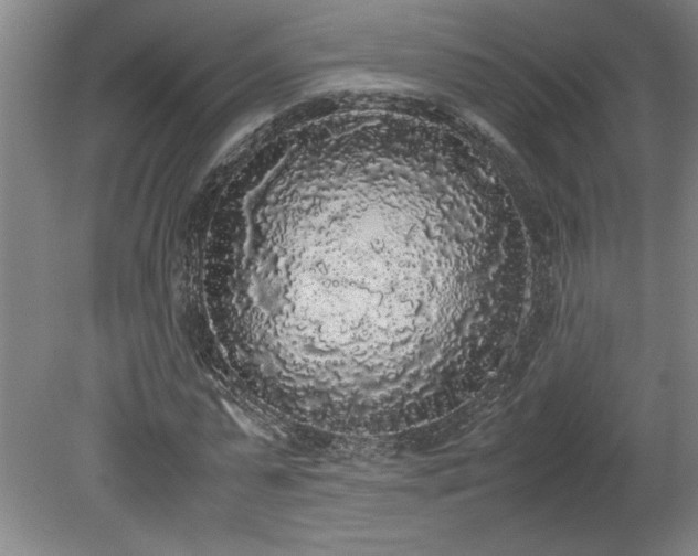 X0000078840775200611131148