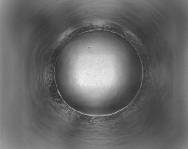 X0000078840776200611131148