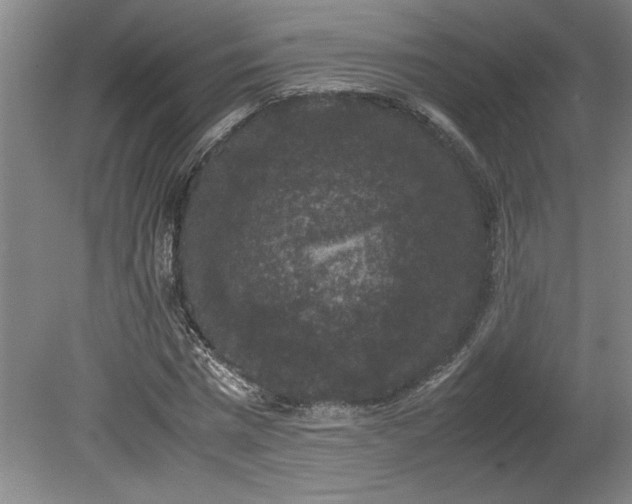 X0000078840777200611131148