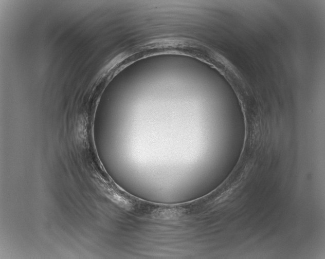 X0000078840778200611131148