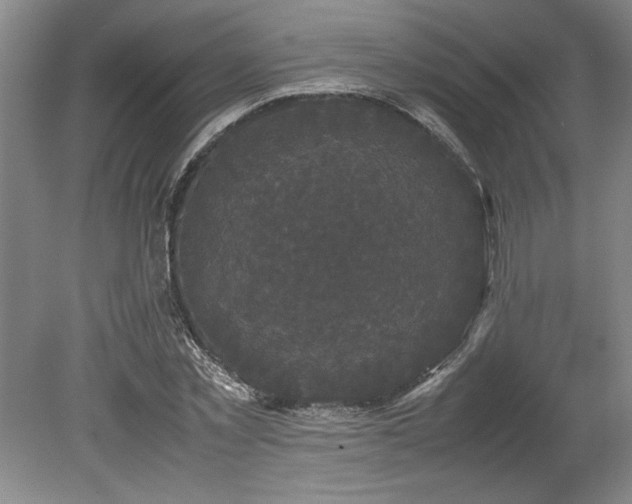 X0000078840781200611131147