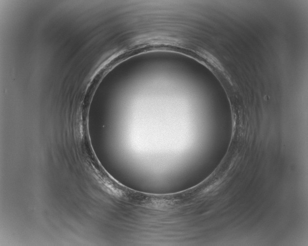 X0000078840782200611131147