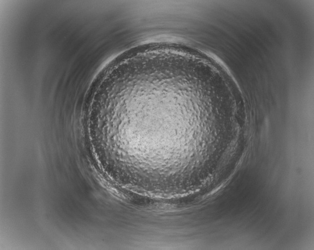 X0000078840783200611131147