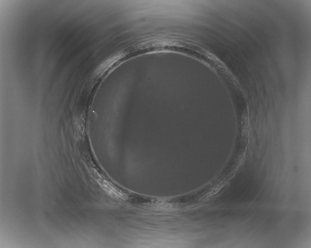 X0000078840785200611131147