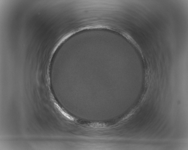 X0000078840789200611131147