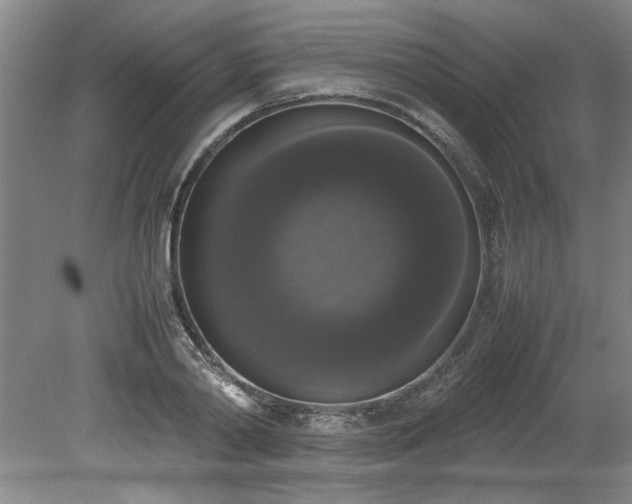 X0000078840790200611131147