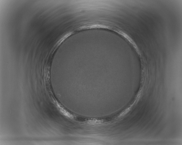 X0000078840793200611131147