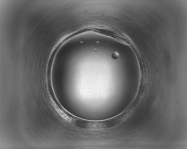 X0000078840795200611131147