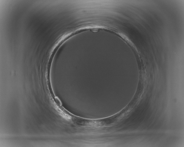 X0000078840797200611131147