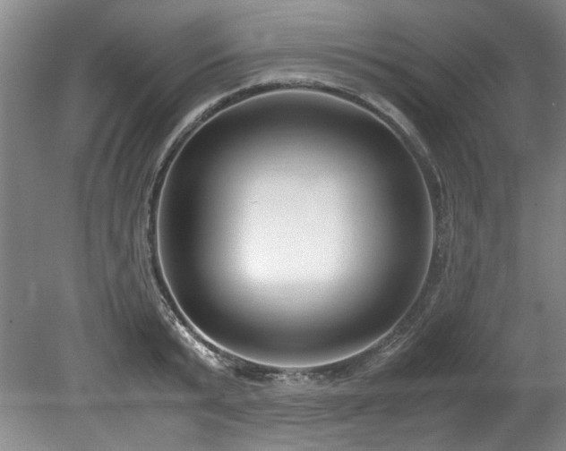 X0000078840799200611131147