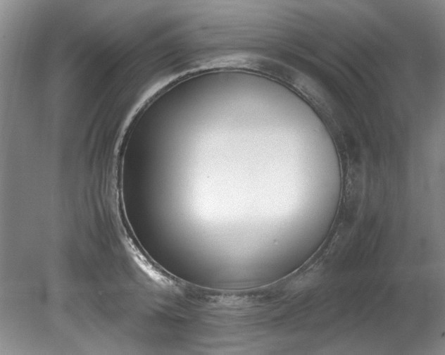 X0000078840800200611131147