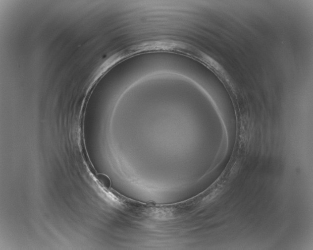 X0000078840802200611131147