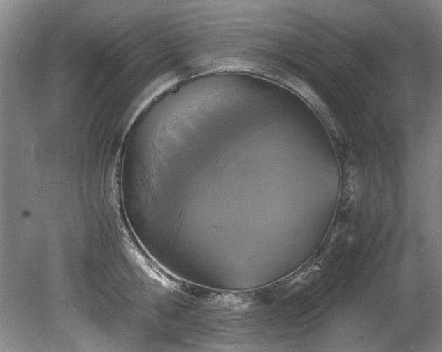 X0000078840806200611131147