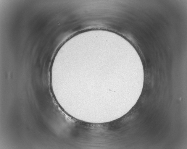 X0000078840807200611131147