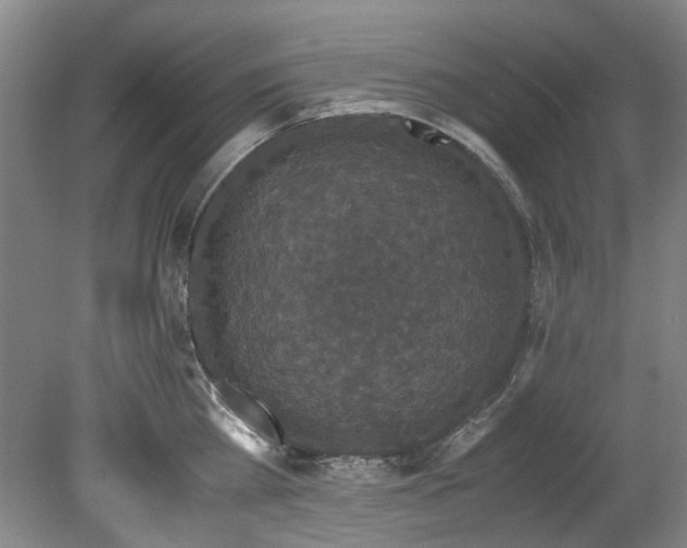 X0000078840809200611131147