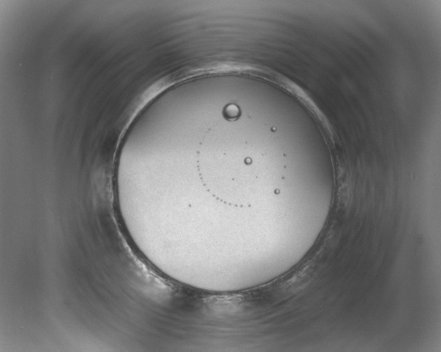 X0000078840810200611131147