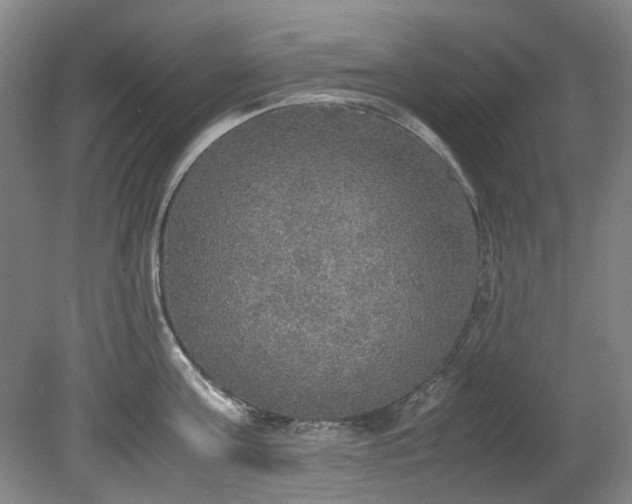 X0000078840811200611131147