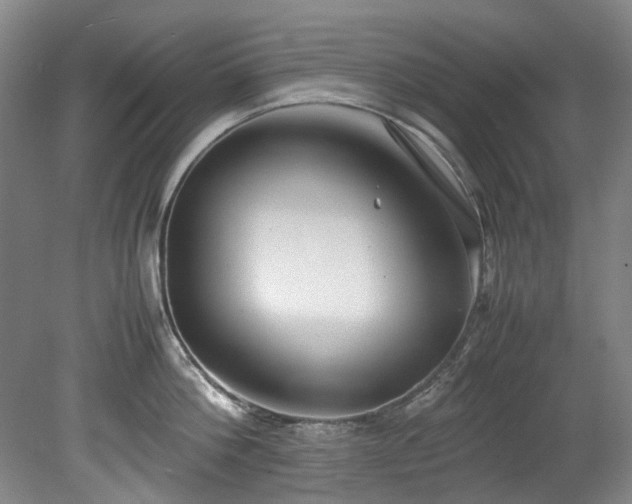 X0000078840812200611131147