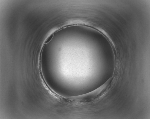 X0000078840815200611131147