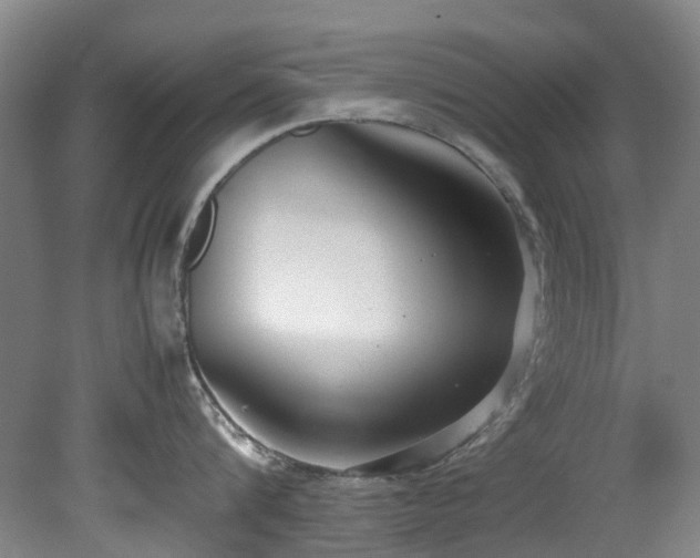 X0000078840816200611131147