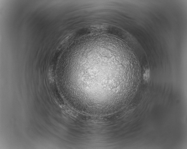 X0000078840819200611131146