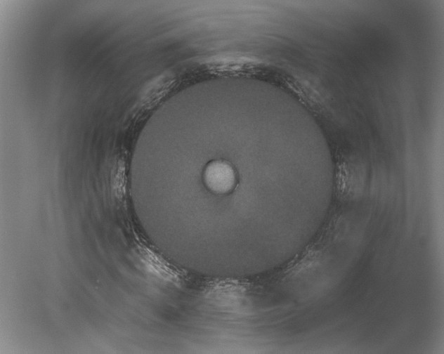 X0000078840820200611131146