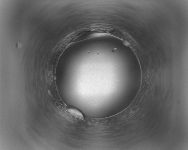 X0000078840821200611131146