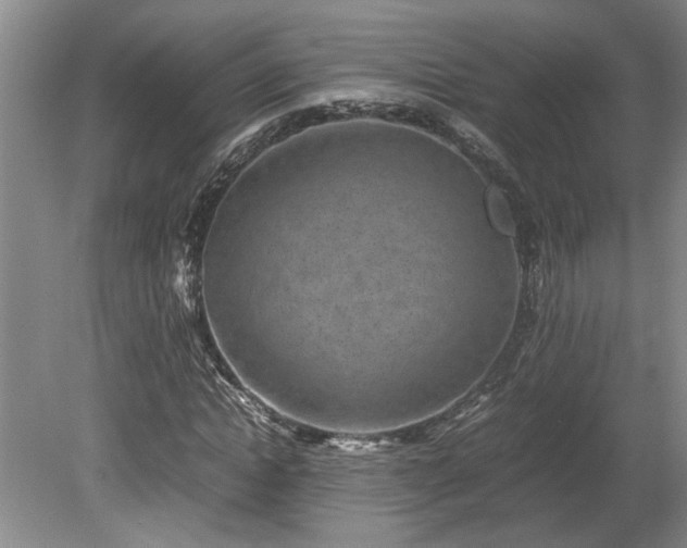 X0000078840822200611131146