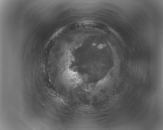 X0000078840823200611131146